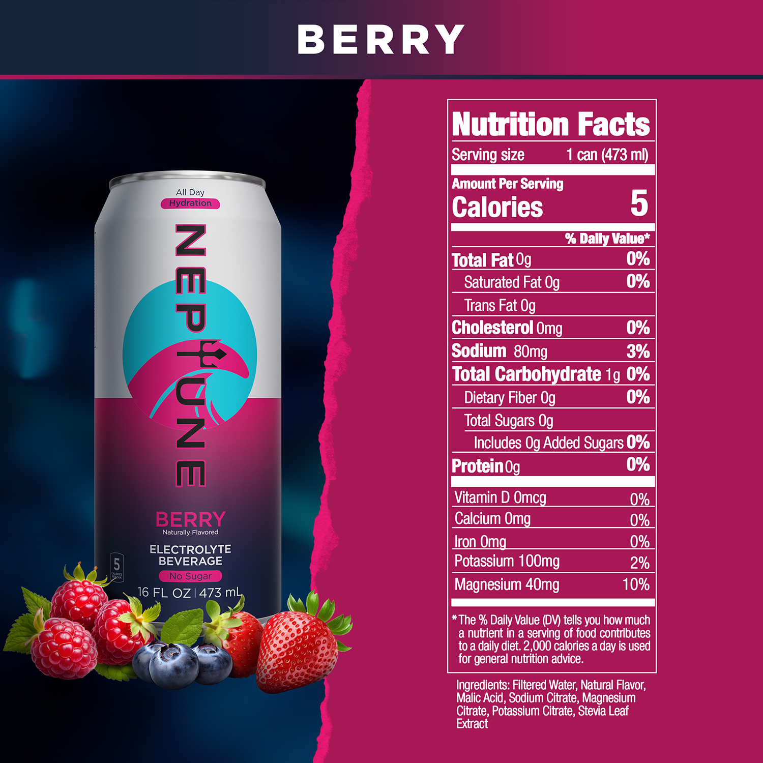 BERRY ENHANCED WATER | Drink Neptune